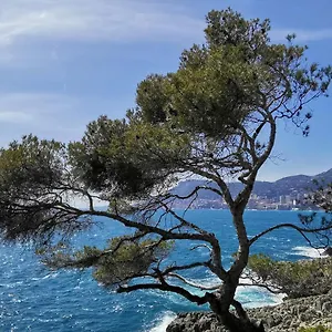 https://villa-incantevole-bungalow-indipendente-a-due-passi-mare.hotelitalianriviera.com